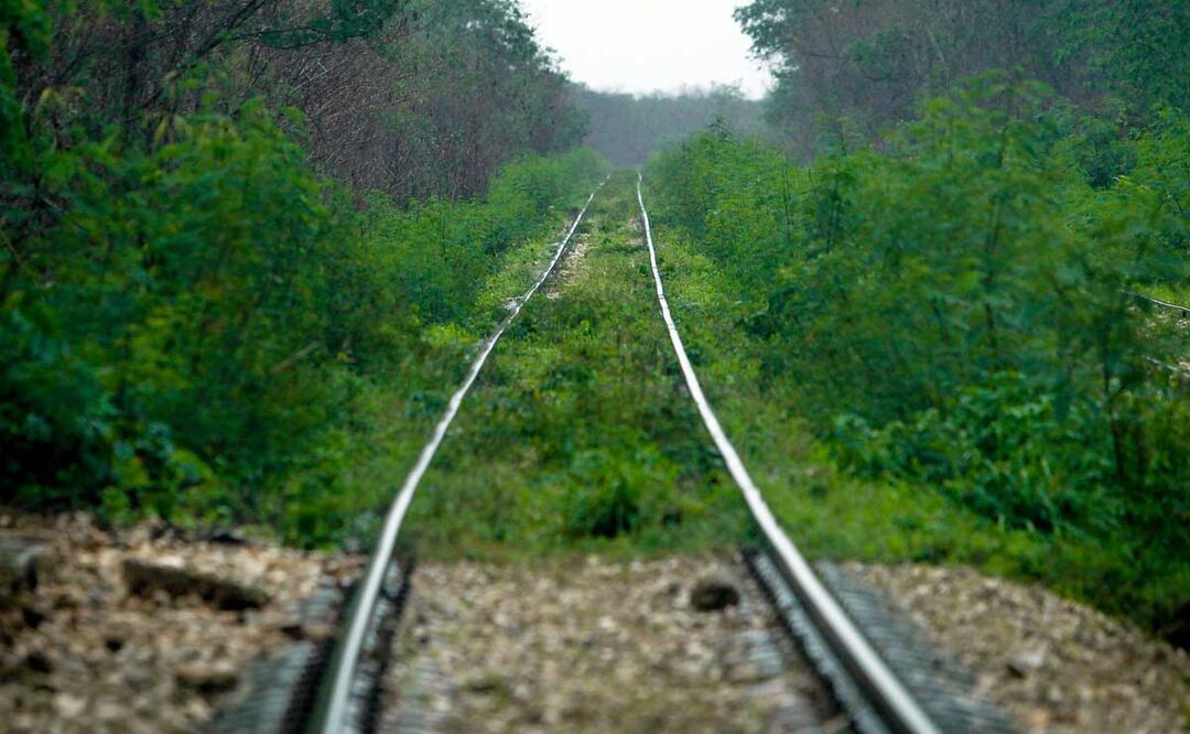 Tren Maya: conflictos sociales, ocultamiento y problemas ambientales