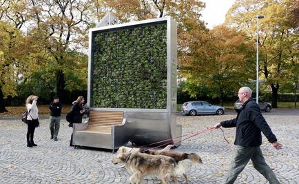 ¡Bosques de quita y pon!