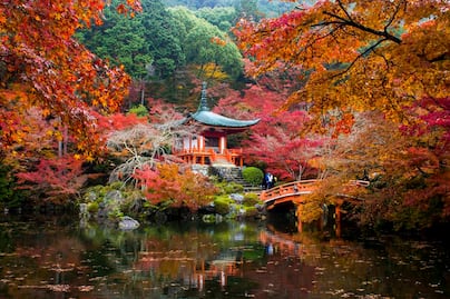 Otoño en Kioto: cuándo ir a ver el cambio de color del follaje