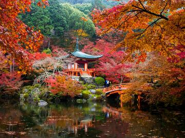 Otoño en Kioto: cuándo ir a ver el cambio de color del follaje