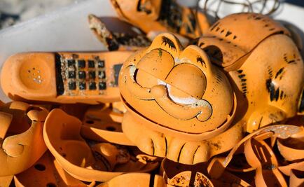 ¿Por qué restos de teléfonos de "Garfield" aparecieron en playas de Francia?