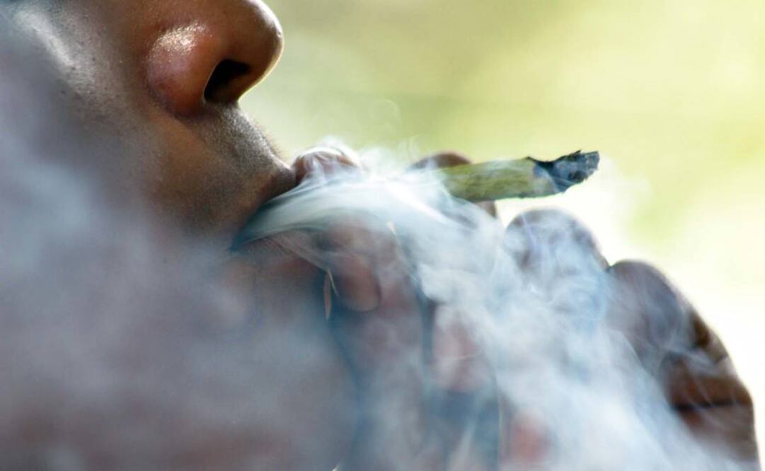 La próximo semana, el tema sobre el consumo recreativo de la cannabis se someterá a debate en la Suprema Corte de Justicia de la Nación. (FOTO: Archivo EL UNIVERSAL)