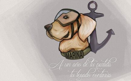 Alista Marina homenaje a "Frida", la perrita rescatista; invitan a ir con todo y mascotas