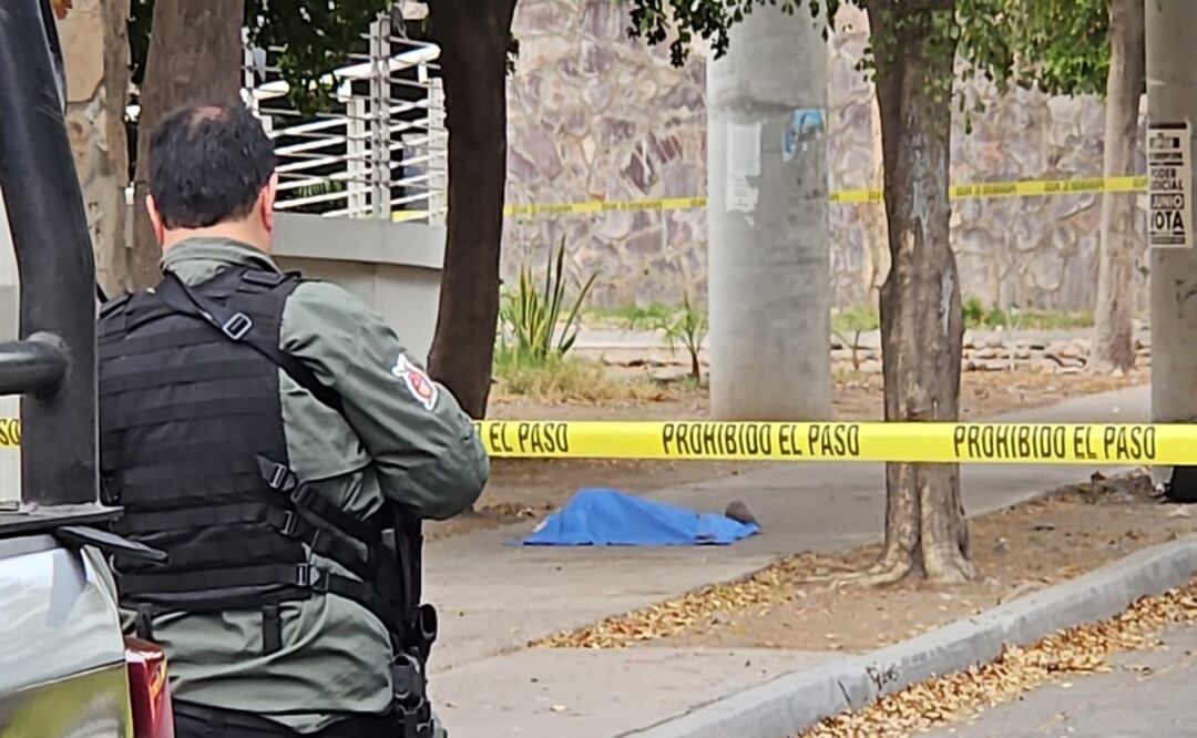 Hallan segunda cabeza humana; autoridades cierran vialidad frente al zoológico de Culiacán. Foto: Especial