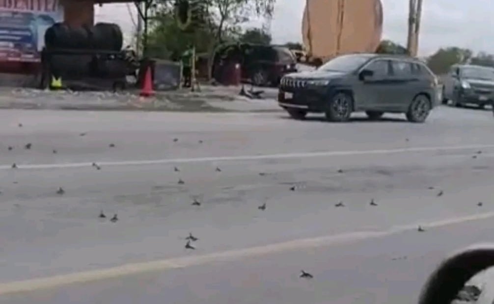 Bloqueos en Reynosa tras ataque de civiles armados a Guardia Estatal; ponchallantas complican tránsito.
Foto: Especial.