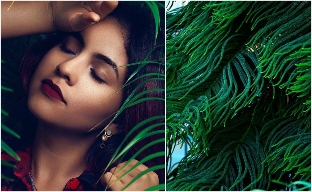 Foto:Pinterest, cortesía 