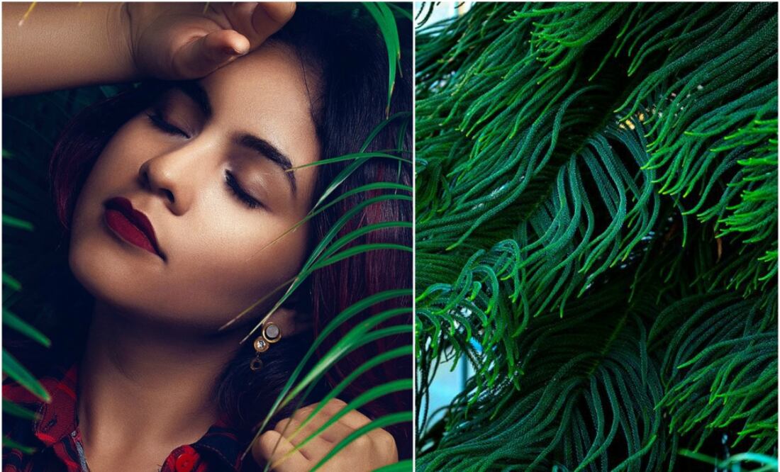 Foto:Pinterest, cortesía