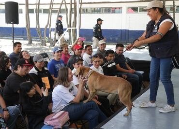 Adoptatón: La Brigada de Vigilancia Animal te invita a darle un hogar a perritos y gatitos rescatados