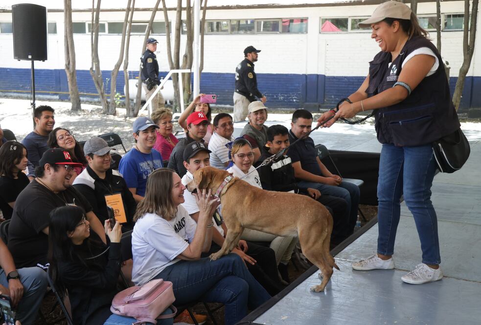 La Brigada de Vigilancia Animal de la Secretaría de Seguridad Ciudadana de la Ciudad de México puso en marcha el primer Adoptatón. (Foto: Carlos Mejía/ EL UNIVERSAL)