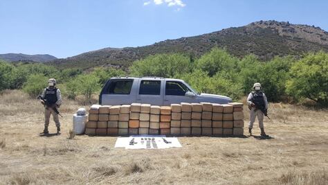 Sedena asegura más de 1 mdp en marihuana abandonada en Ensenada