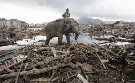 Así fue el tsunami de 2004 en el océano Índico