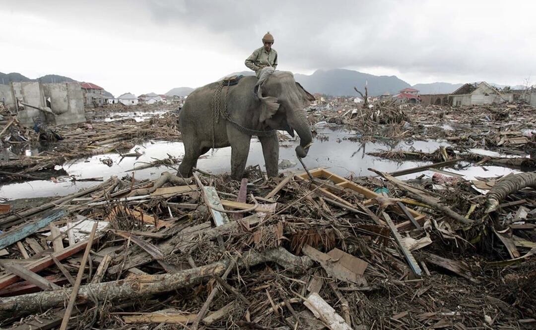 Así fue el tsunami de 2004 en el océano Índico