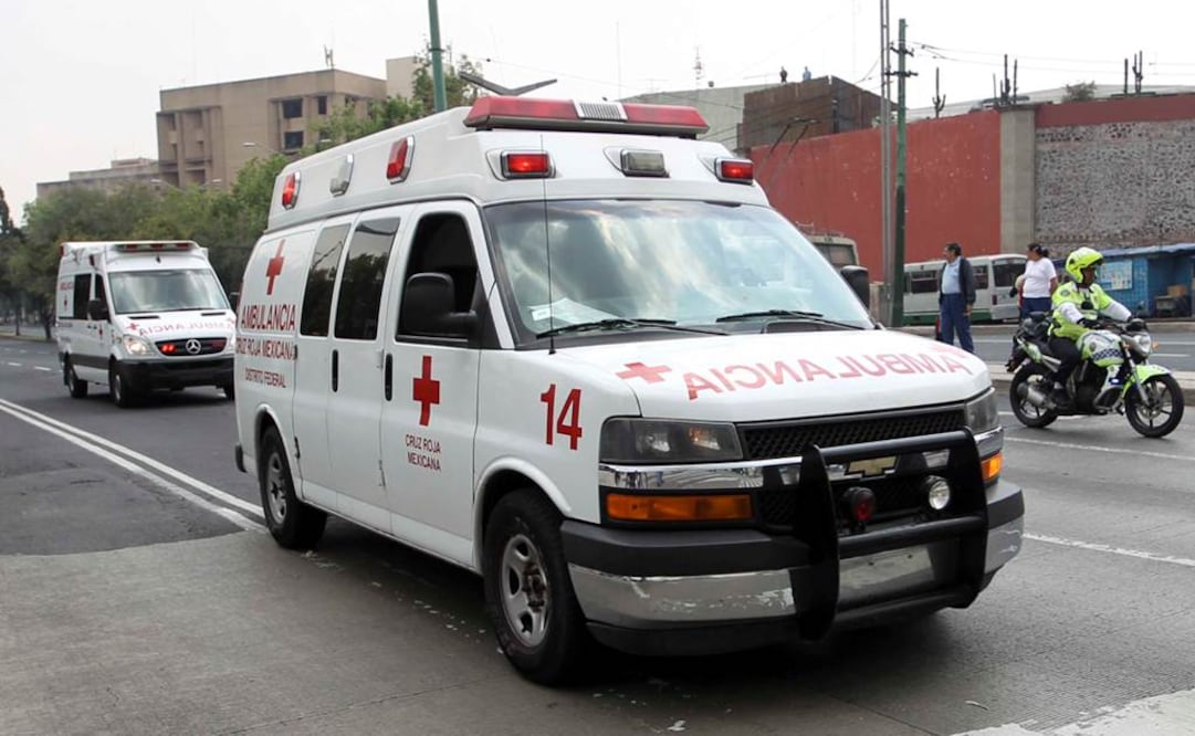 Foto: Archivo EL UNIVERSAL