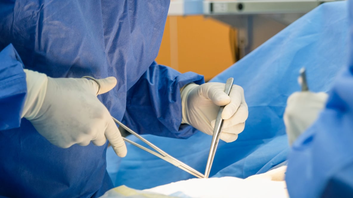 "¿De quién son los corazones, hígados y pulmones que se trasplantan en China?", preguntó Wendy Rogers . Foto: Getty Images