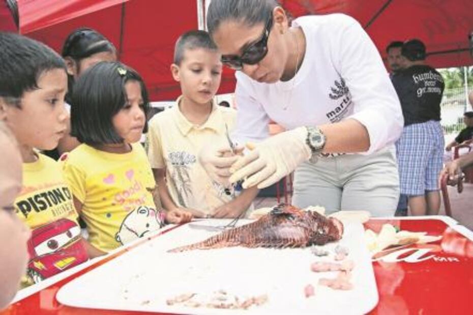 El (pez) León no es como lo pintan