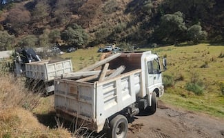 CDMX recupera suelo de conservación invadido; protegen 6 hectáreas en Tlalpan y Milpa Alta