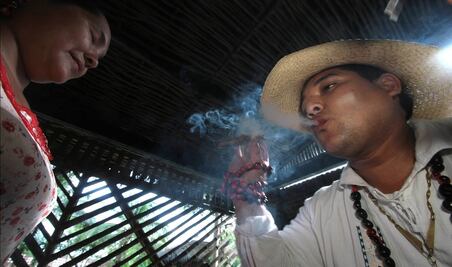 Exhorta PVEM a fiscalías no criminalizar a pueblos indígenas por medicina tradicional