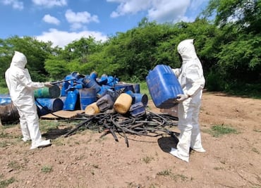 Localizan más de 4 mil litros de diversas sustancias químicas en dos municipios de Sinaloa; descubren plantío de marihuana