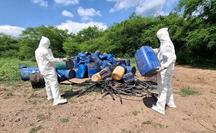 Localizan más de 4 mil litros de diversas sustancias químicas en dos municipios de Sinaloa; descubren plantío de marihuana  