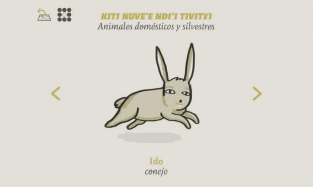 3 apps para aprender lenguas indígenas