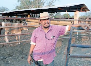 Reportan desaparición de fundador de autodefensas y su familia en Michoacán