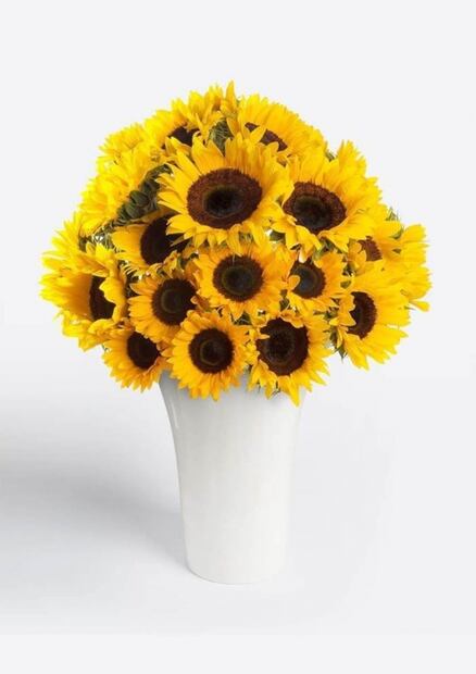 La flor perfecta para mamá según su personalidad