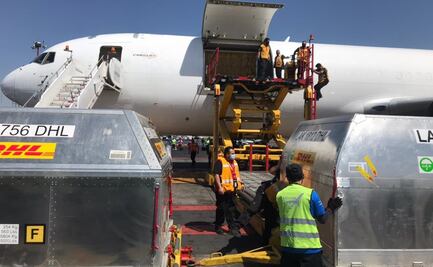 Llega a CDMX nuevo cargamento de vacunas Pfizer, a un mes de la suspensión de envíos