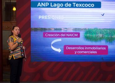 ¿En qué consiste el decreto que declara área natural protegida al Lago de Texcoco?