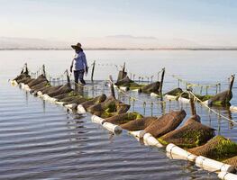 De la escasez a la abundancia, ¿es posible salvar el Golfo de California?