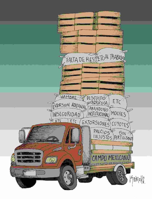 Cartón de KEMCHS