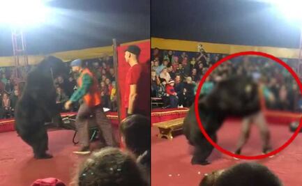 Viral: Momentos de pánico en circo, oso ataca a domador
