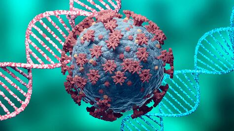 El nuevo ritmo de la pandemia