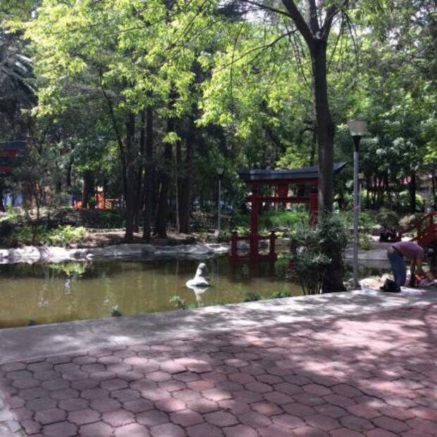 Un pedacito de Japón en México