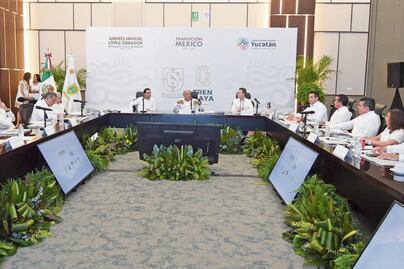 IP difiere sobre el Tren Maya