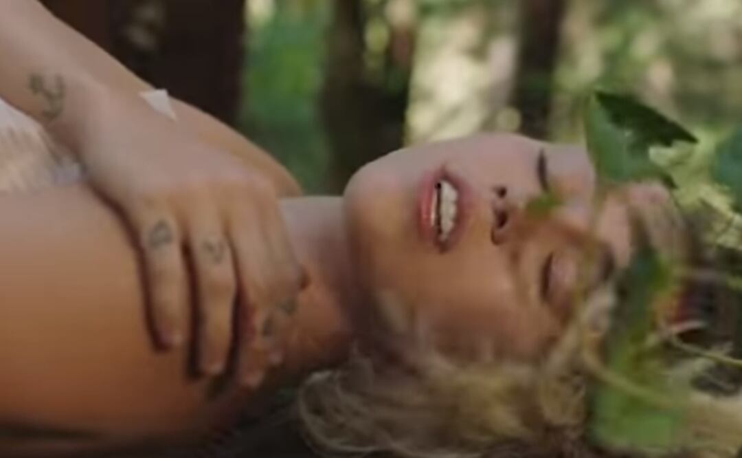 Foto: Tomada de video