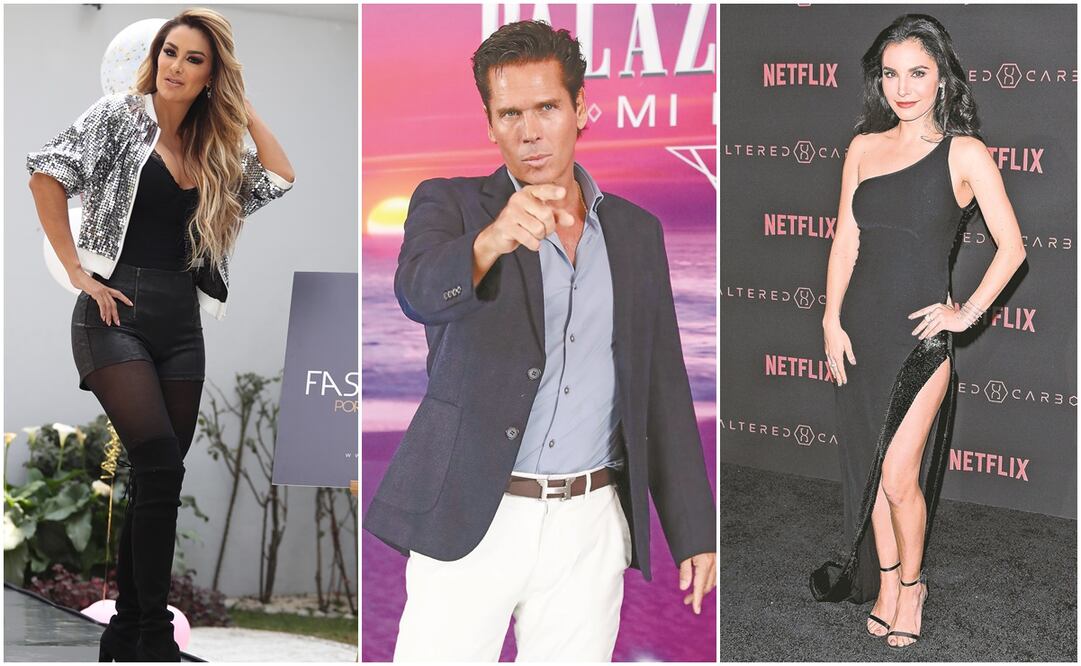 Ninel Conde, Roberto Palazuelos y Martha Higareda. Fotos: Archivo