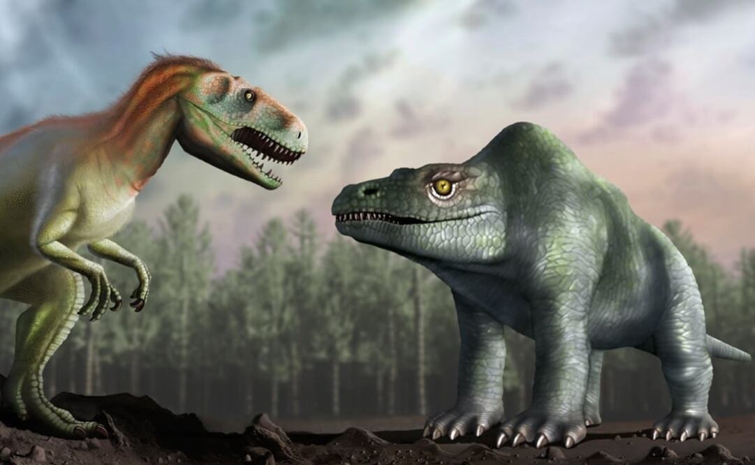 (FOTO: U. Warwick/Mark Garlick)