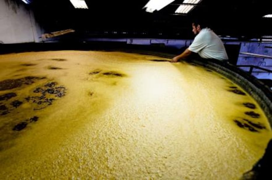 ¿Conoces las 16 cosas que sólo pueden producirse en México?