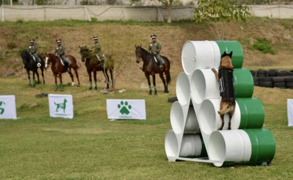 En ceremonia oficial, jubilan al mejor agente canino de Veracruz