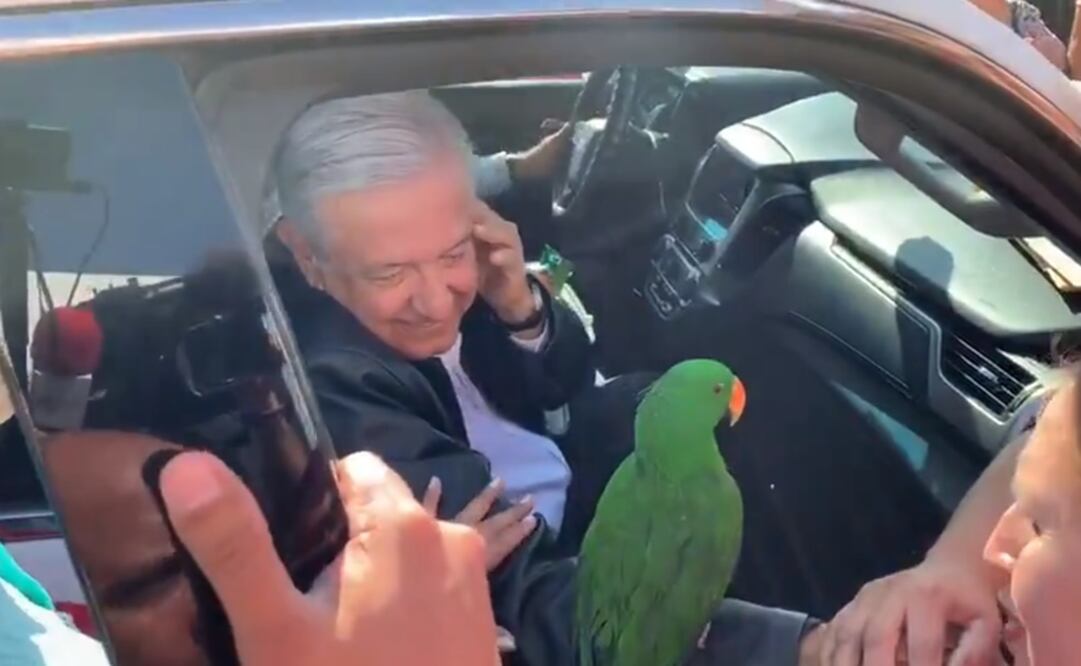 Foto: captura tomada de video