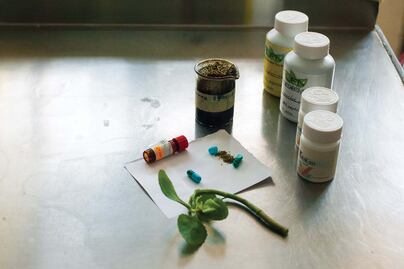 IPN desarrolla medicamento con Belladona para cáncer de próstata