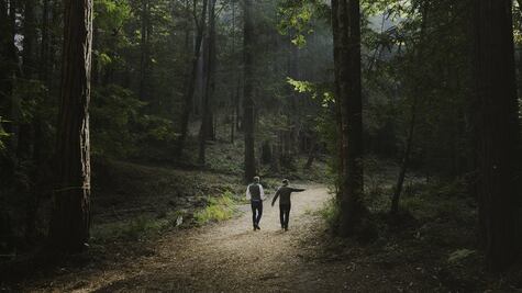 Empresa de EU busca reinventar los "terribles y costosos" cementerios comunes