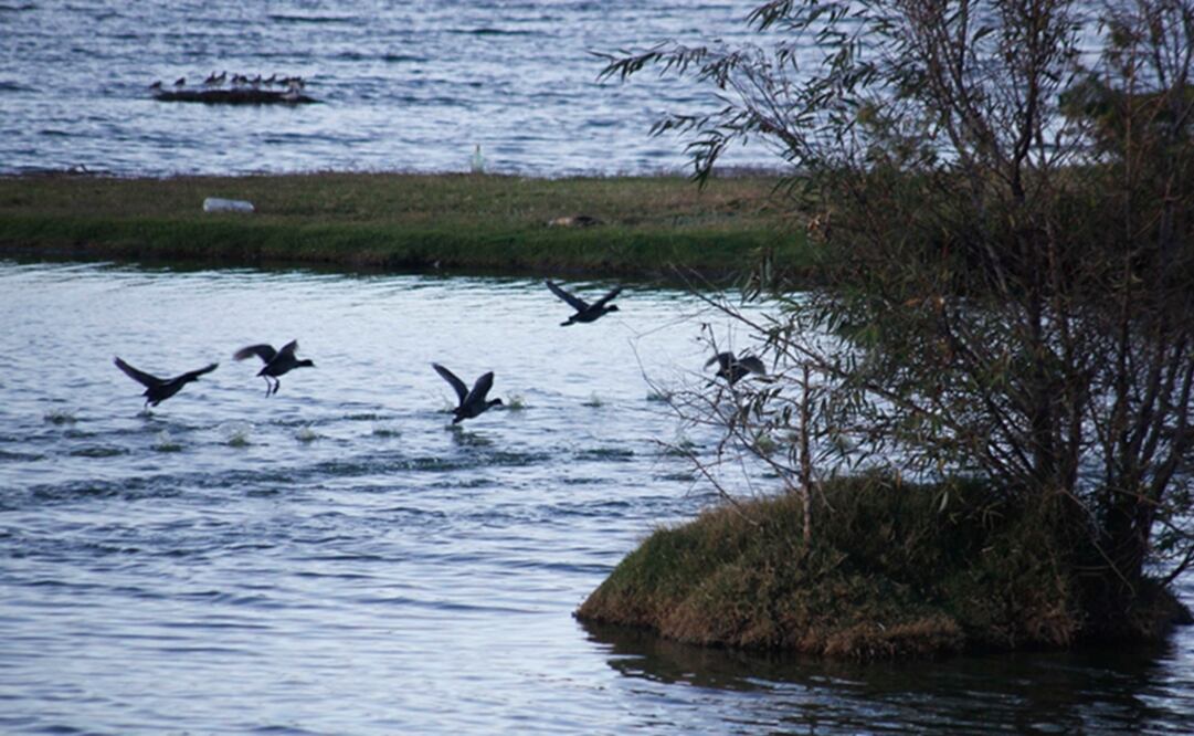 Foto: Archivo / EL UNIVERSAL