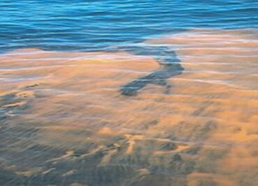 Pescadores de Yucatán detectan mancha en el mar; sospechan que sea marea roja