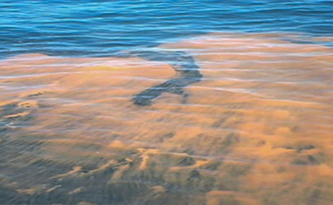 Pescadores del oriente del estado reportaron la presencia de una mancha que posiblemente podría tratarse de marea roja. Foto: Especial