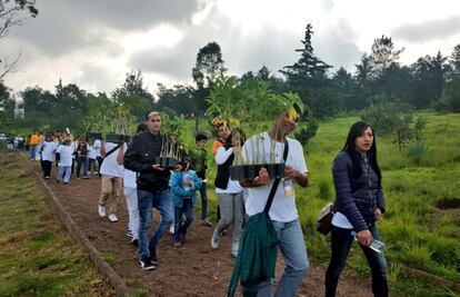 Inicia reforestación en el Cerro de la Estrella