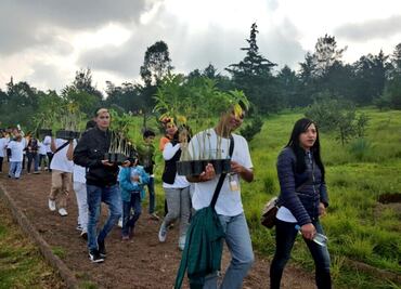Inicia reforestación en el Cerro de la Estrella