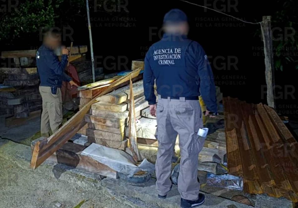 Agentes federales lograron asegurar más de 230 tablones de madera obtenida de manera ilegal, de los cuales 34 se recuperaron dentro de la biósfera de Los Tuxtlas al sur de Veracruz. Foto: Especial