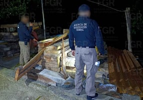 Recuperan en Veracruz más de 230 tablones de madera ilegal; operativo se realizó en la biósfera de Los Tuxtlas