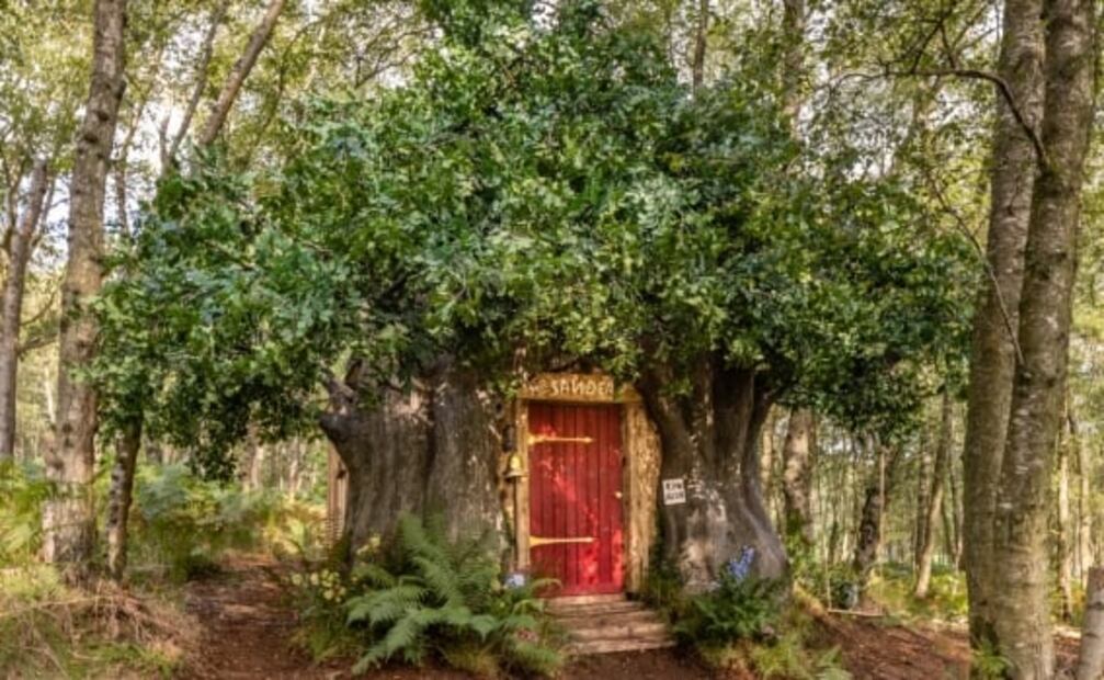 Recrean la casa de Winnie The Pooh para recibir turistas